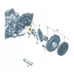 Audi OE 085311113 uszczelniacz wału 085311113 85311113