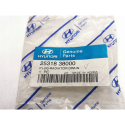Korek spustowy chłodnicy HYUNDAI ACCENT ELANTRA OE 25318 38000