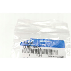 Izolator, obudowa filtra powietrza Kia Hyundai Santa FE Tucson 28160 3R030