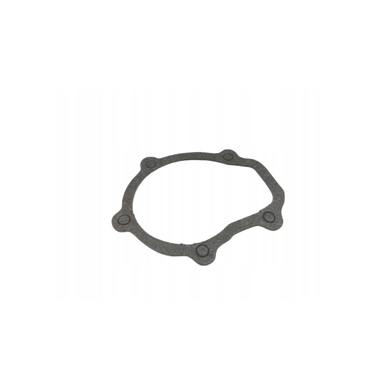 Uszczelka pompy wody Daewoo Tico Matiz OE 17431-73001-000