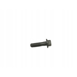 ŚRUBA M8 X 29MM WAŁKA ROZRZĄDU MONDEO 2000- W707512-S430 1135379
