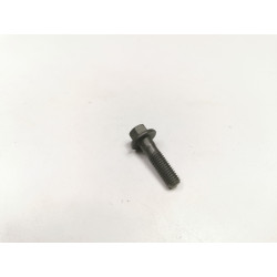 ŚRUBA M8 X 29MM WAŁKA ROZRZĄDU MONDEO 2000- W707512-S430 1135379