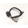 WIĄZKA PRAWA LAMPY TYŁ FORD TRANSIT 14-17 OE BK31-12663-AA 1849896