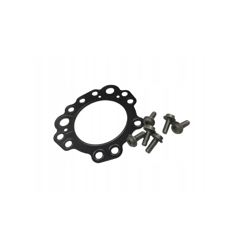 Zestawy uszczelek automatycznej Focus 04-08/Focus C-MAX 03-07 (CAP) 1305792