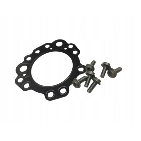 Zestawy uszczelek automatycznej Focus 04-08/Focus C-MAX 03-07 (CAP) 1305792