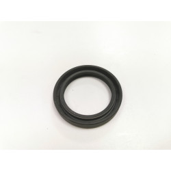 USZCZELNIACZ / SIMERING SGE069 SIMBO 48X65X10