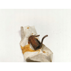 Sprężyna ogranicznika drzwi lewy tył Daewoo FSO Lublin I II 3302-6502039